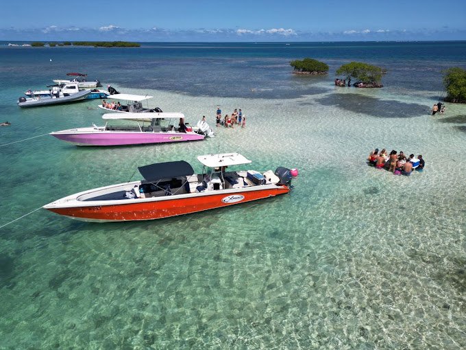 Xtrem Excursion dans le grand cul de sac marin en Guadeloupe