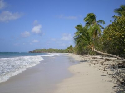 Plage des Salines