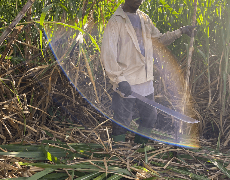 Distillerie Papa Rouyo