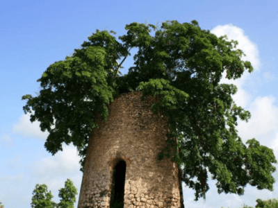 Moulin de Beaufond Anse-Bertrand