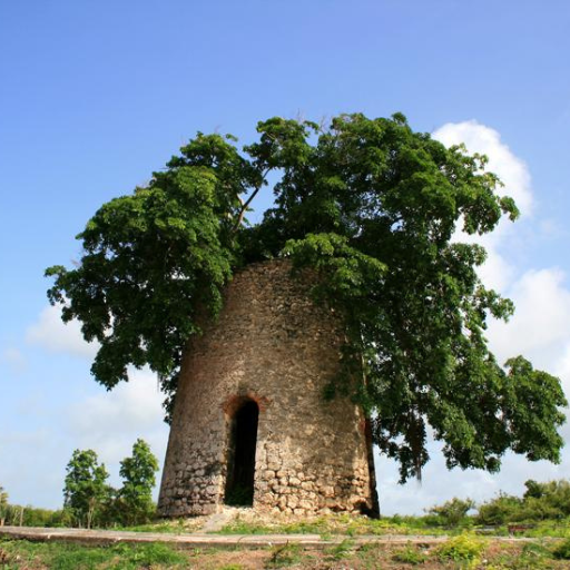 Moulin de Beaufond Anse-Bertrand