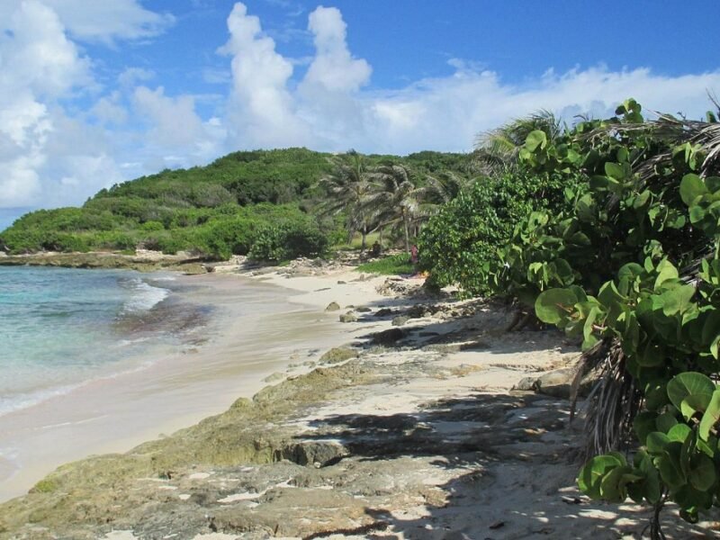 Anse Tarare - Plage Naturiste