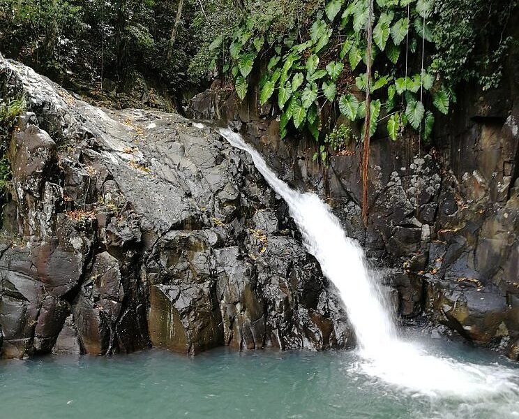 Saut d'Acomat