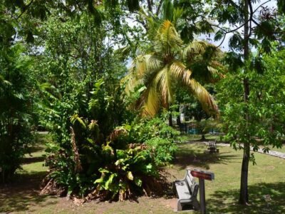 Jardin Botanique de Basse-Terre