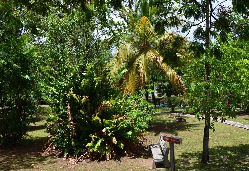 Jardin Botanique de Basse-Terre