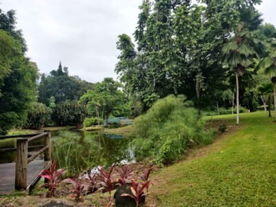 Le Jardin d'Eau de Goyave