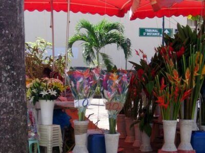 Marché aux fleurs de Pointe-à-Pitre