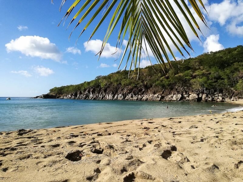 Plage de Petite-Anse