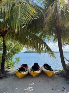 Activité Kayak dans la mangrove avec Yalode Canyon Kayak 