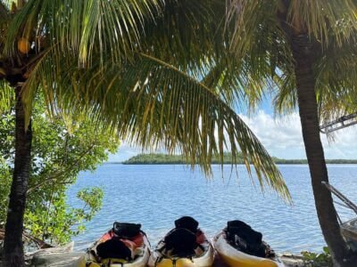 Yalodé kayak canyoning bain de forêt Guadeloupe