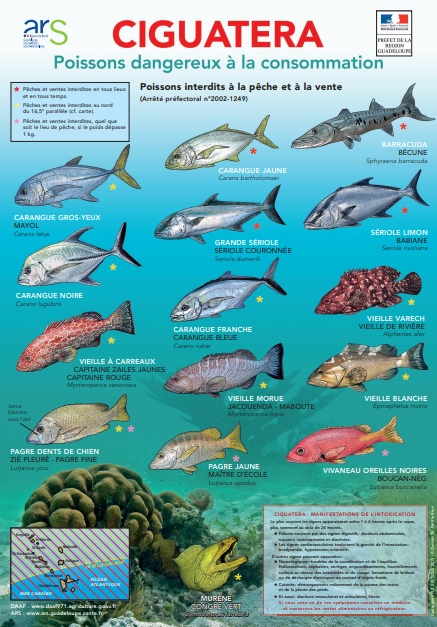 Liste des poissons dangereux à la consommation en Guadeloupe en raison de la Ciguatera