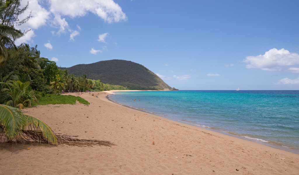 Plage de Grande Anse à Deshaies