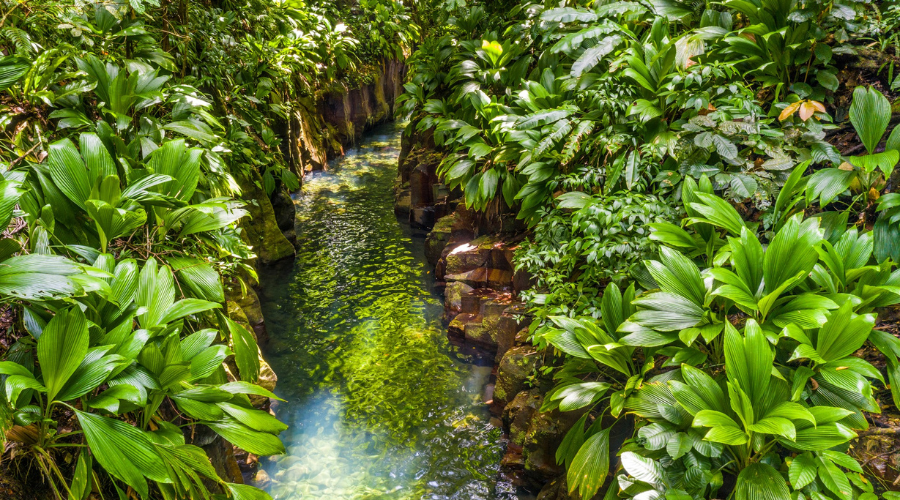 Le canyon moustique propose une randonnée difficile mais magnifique en Guadeloupe