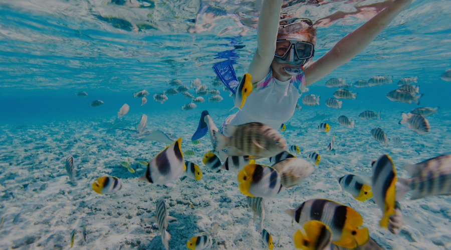 Les meilleurs endroits pour le snorkeling en Guadeloupe avec Geedme