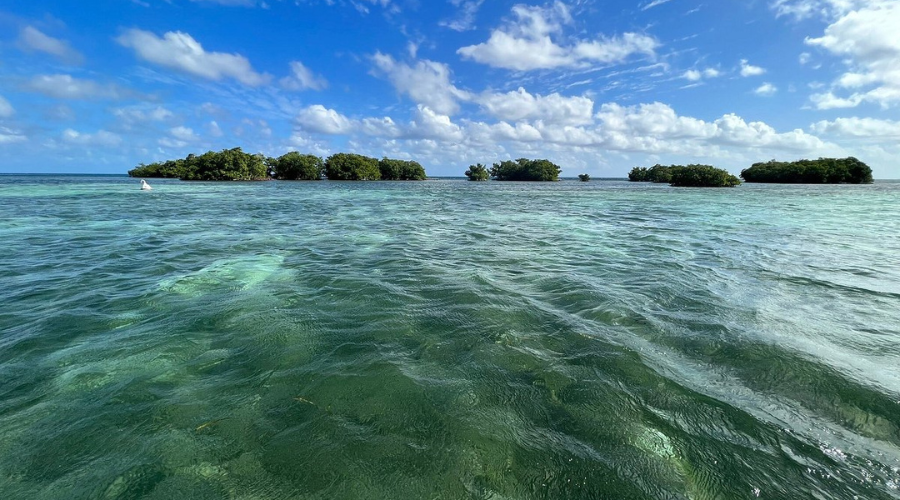 Grand Cul-de-Sac Marin - Guadeloupe