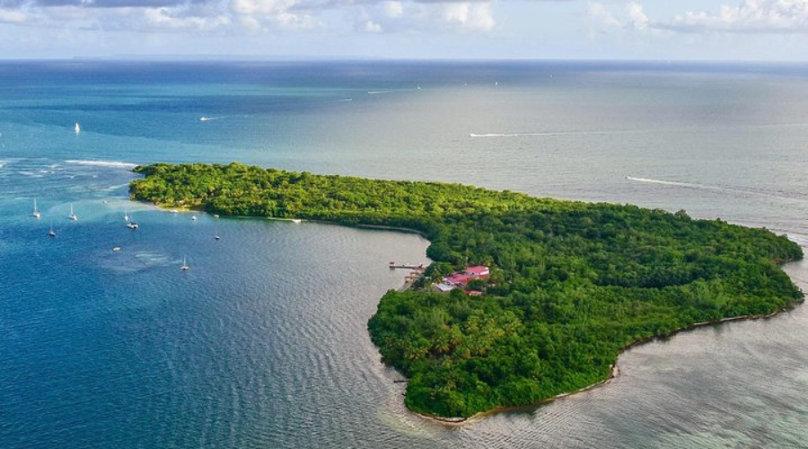 Petit Cul-de-Sac Marin snorkeling - Guadeloupe