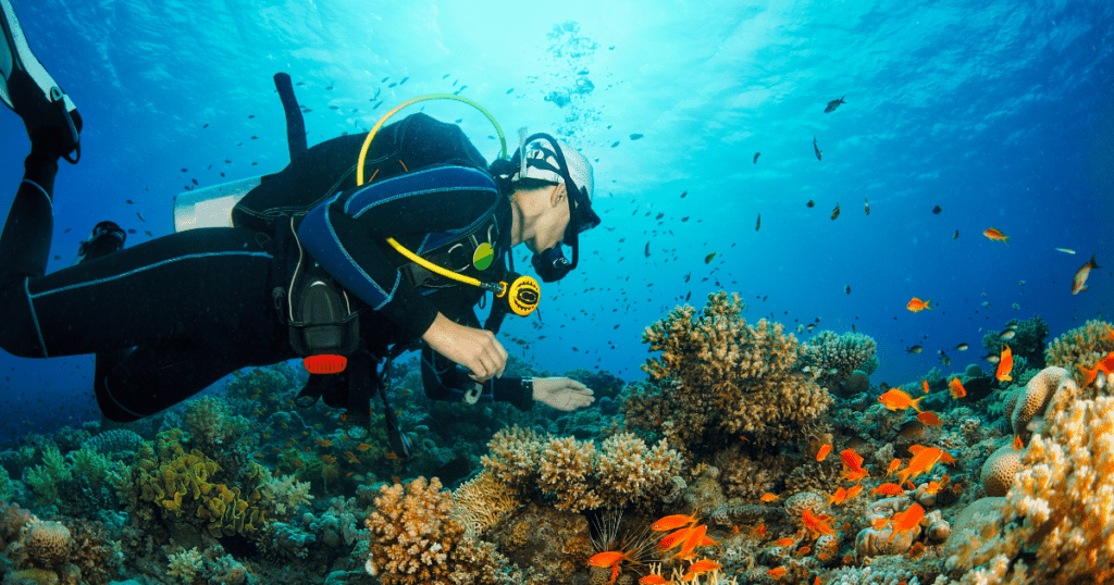 La plongée sous marine parmi les meilleures activités pour découvrir Bouillante en Guadeloupe