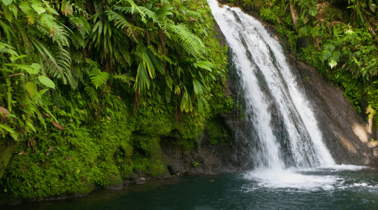 Meilleurs cascades et rivières en guadeloupe