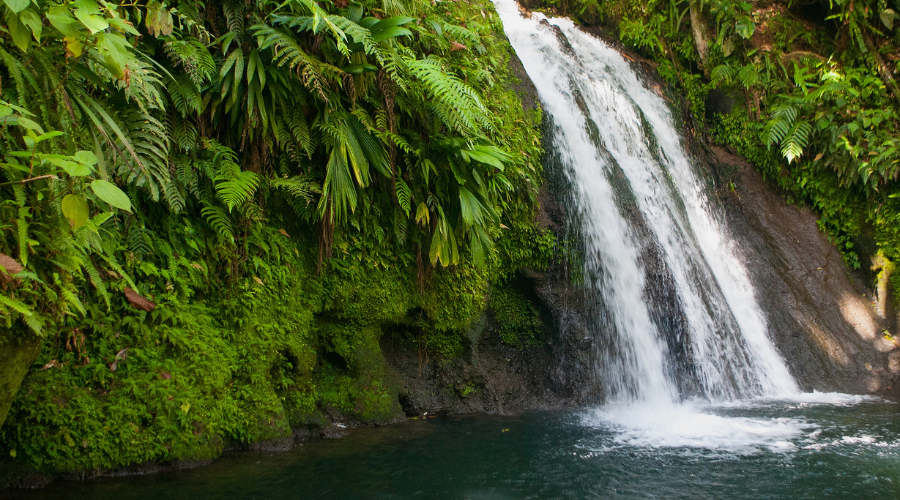 meilleures rivières et cascades guadeloupe