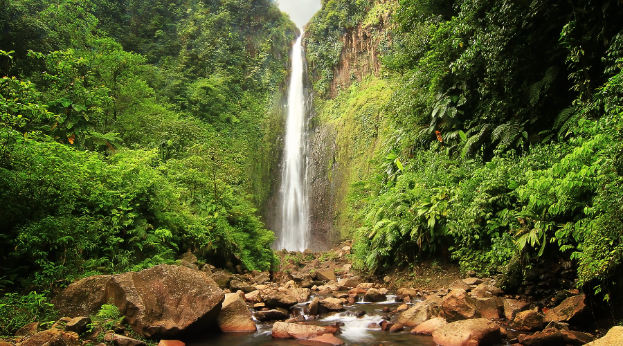 Chute du carbet meilleures rivières et cascades guadeloupe