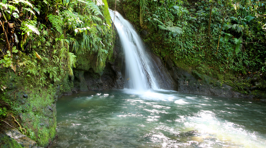 Cacades aux écrevisses meilleures rivières et cascades guadeloupe