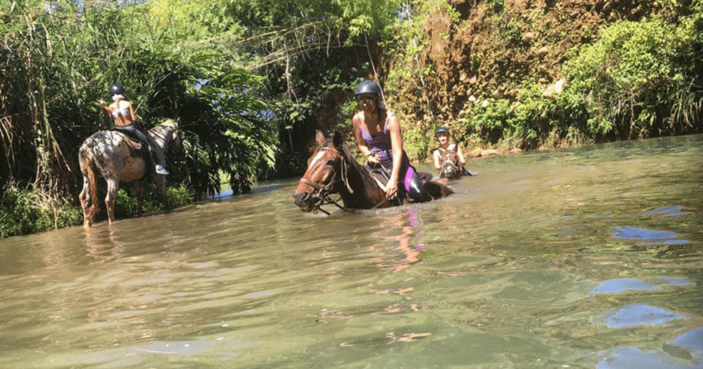 Quoi faire à Goyave ? Une balade en cheval avec le ranch de Moreau