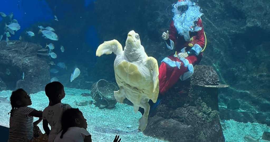 Aquarium de Guadeloupe activité à faire en famille en Guadeloupe