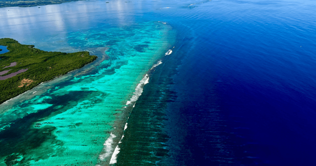 Photo aérienne du grand cul de sac marin guadeloupe