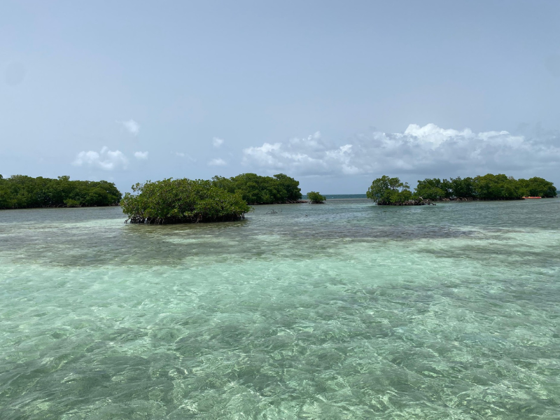 paysage lors d'une excursion en bateau dans le grand cul-de-sac marin avec Calypso Salty Sail Event