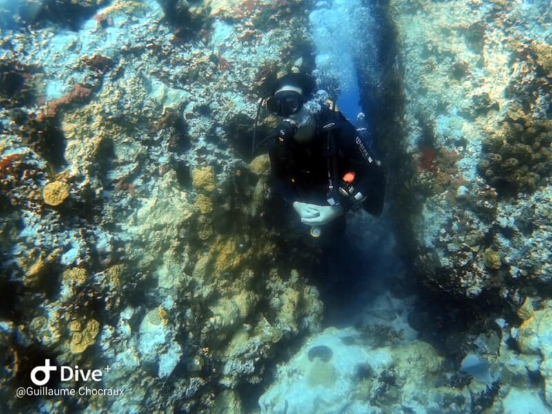 La Dive Bouteille - Plongée Les Saintes