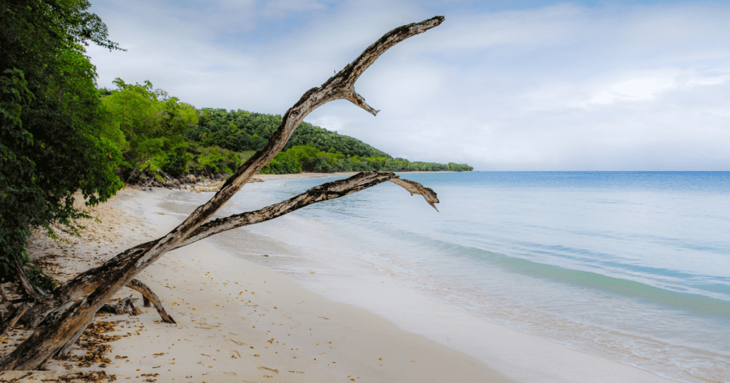 Voyage en couple en Guadeloupe plage de marie-galante