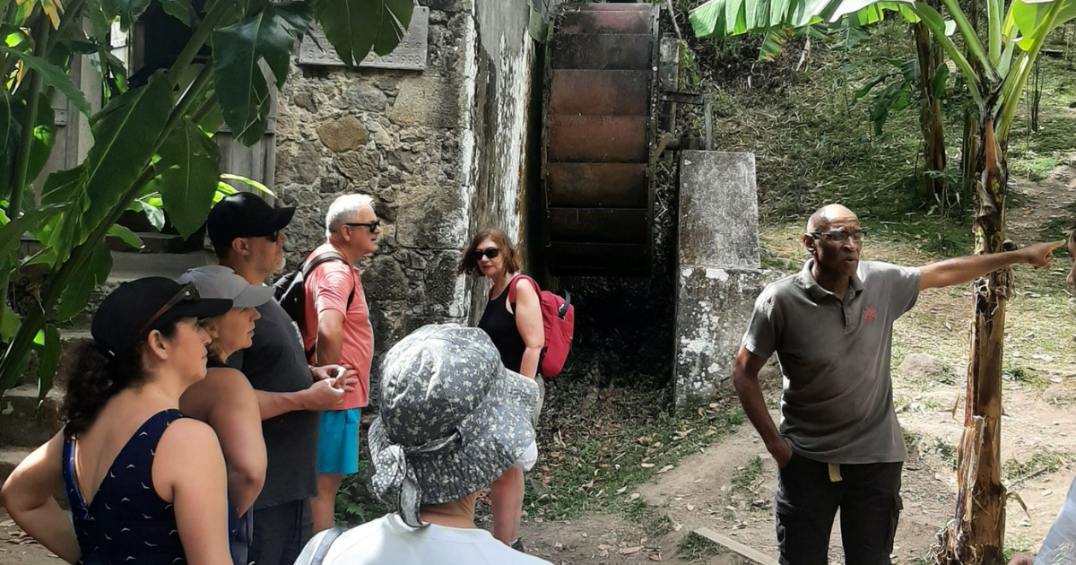 Domaine de Vanibel : L’histoire d’un café made in Guadeloupe