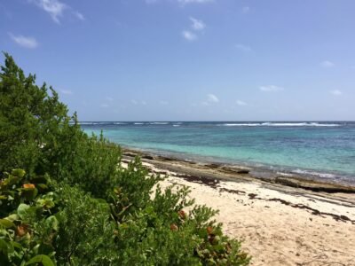 Plage d'anse feuillard