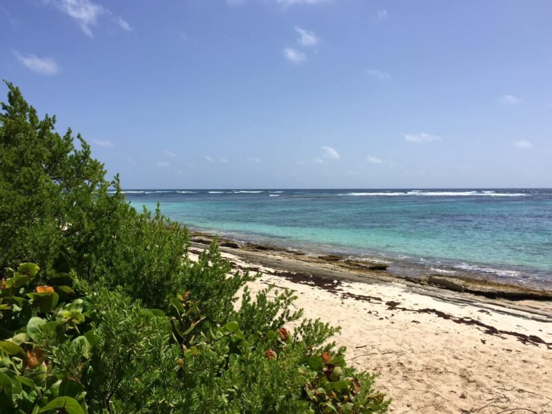 Plage d'anse feuillard