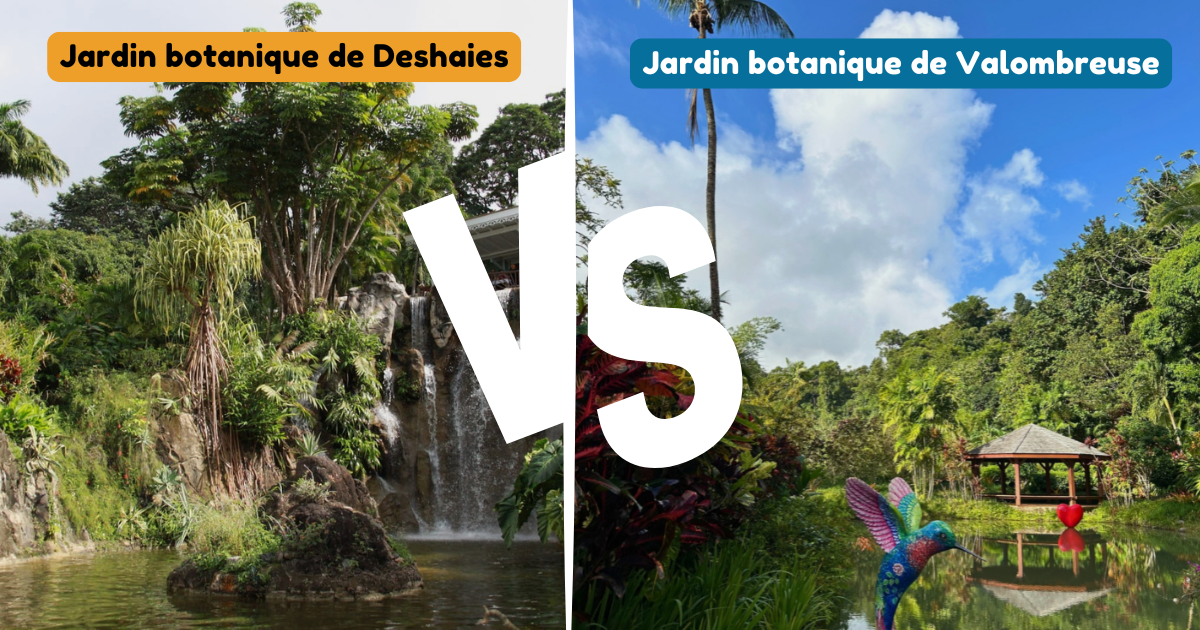 Jardin botanique de Valombreuse vs. Jardin Botanique de Deshaies : Quel est le meilleur ?