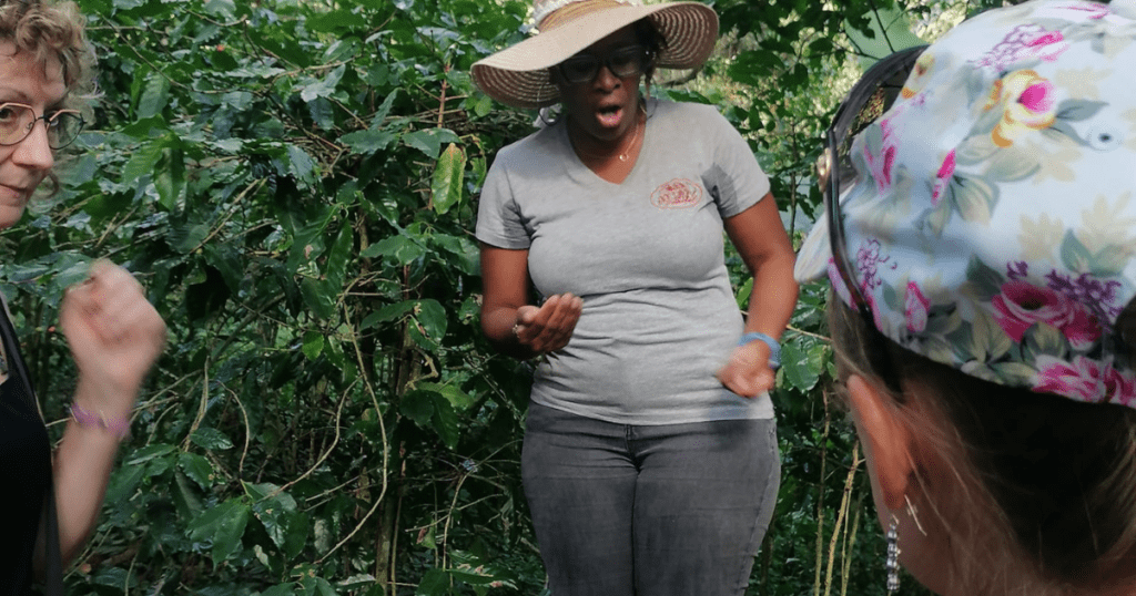 Visite du domaine de Vanibel à Vieux-Habitants