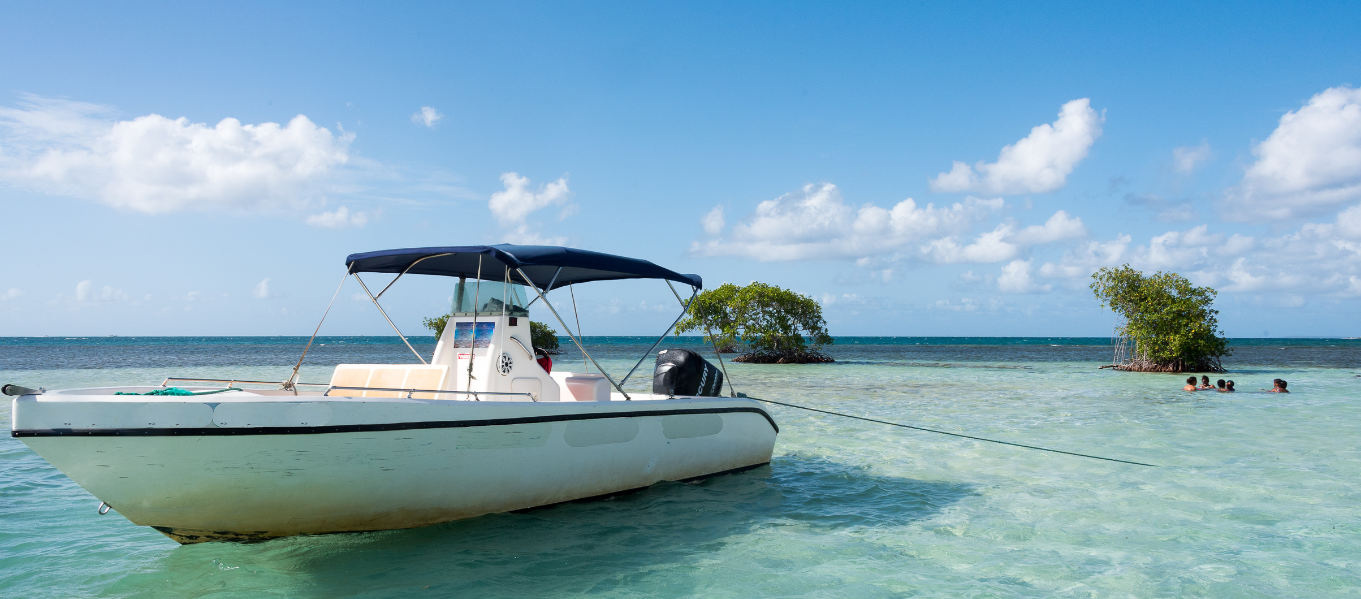 Excursion en mer en Guadeloupe. Découvrez et réservez les meilleurs excursions en bateau de l'archipel. Grand cul-de-sac marin, les saintes, et bien plus