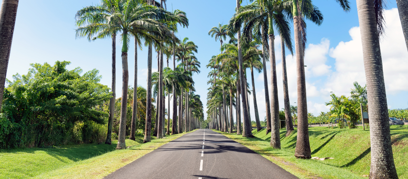 visite guidée en guadeloupe