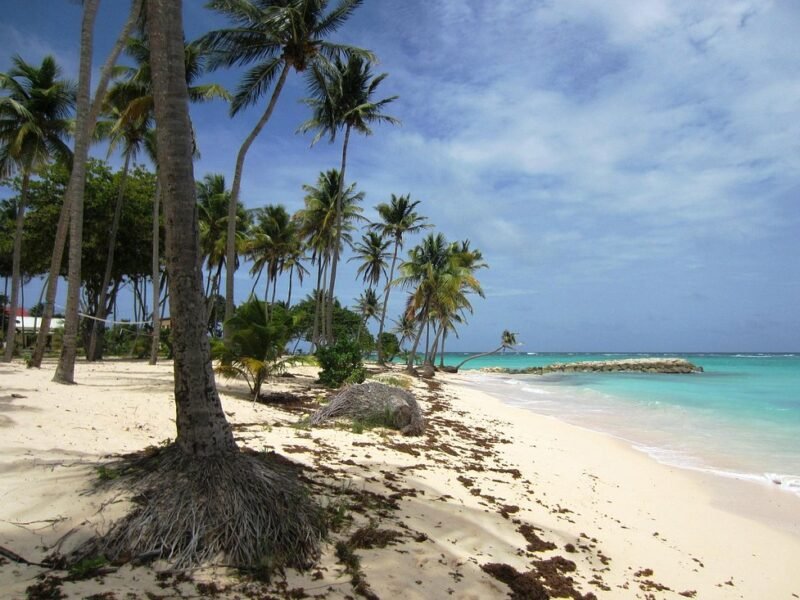 Plage de la Feuillère