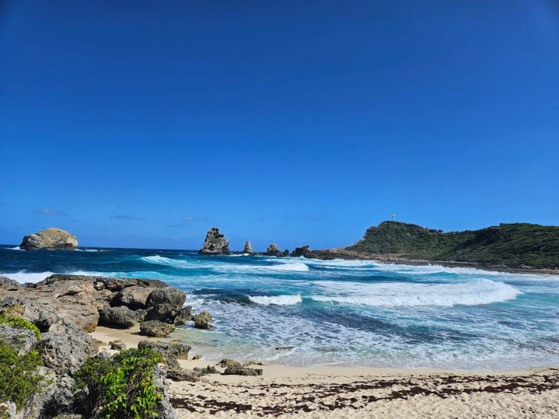 Visite guidée privée avec chauffeur en Guadeloupe (2 à 16 personnes)