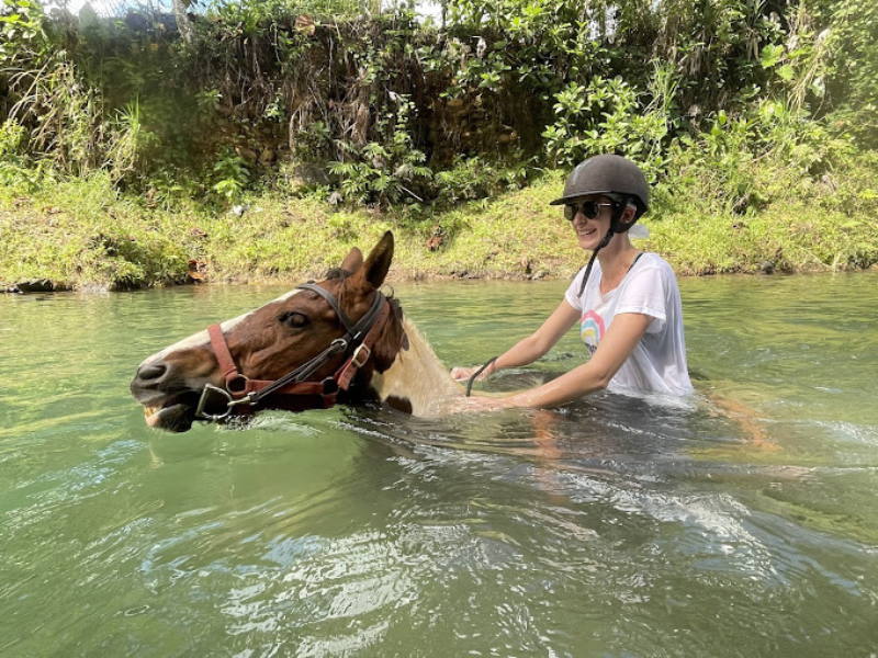 Balade à cheval de 3 heures avec passage dans la rivière