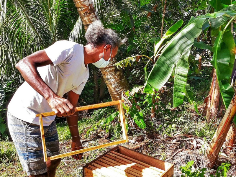 Visite guidée privée dans un domaine d’agroforesterie (Miel, Vanille, huile de coco)