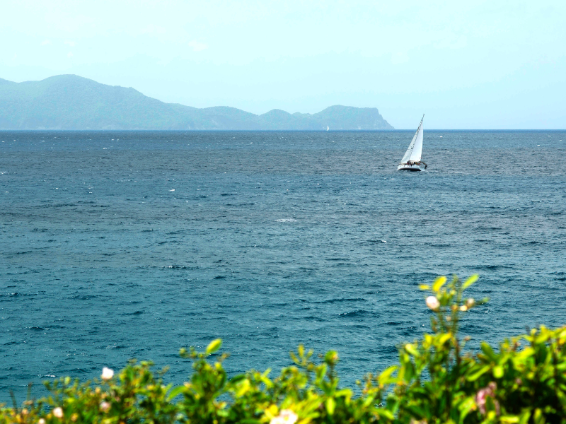 Excursion d'une journée à la voile aux Saintes - Depuis Gourbeyre