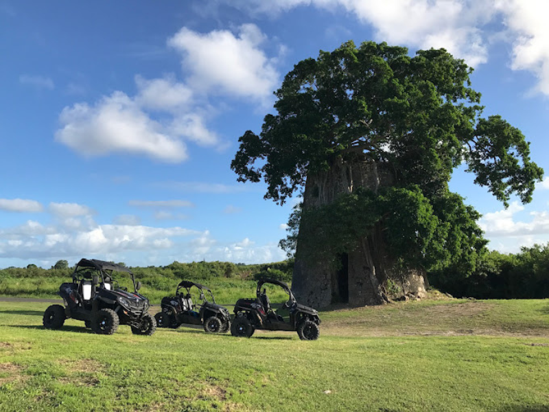 Randonnée de 3 heures en Buggy dans le Nord Grande-Terre