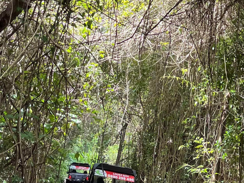 Randonnée de 3 heures en Buggy dans le Nord Grande-Terre