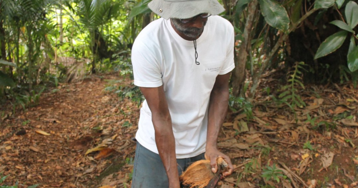 Florsia : Une passion pour l’agroforesterie et les produits naturels