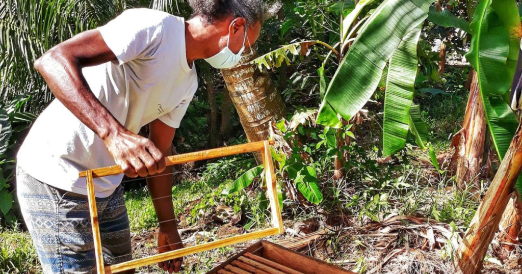 Frédéric Mauranyapin de Florsia avec ses abeilles