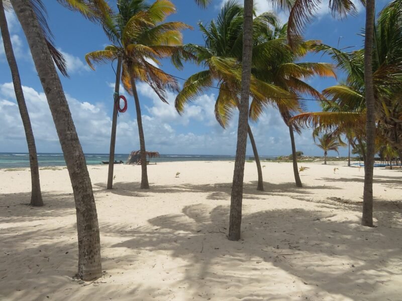 Plage à Fifi