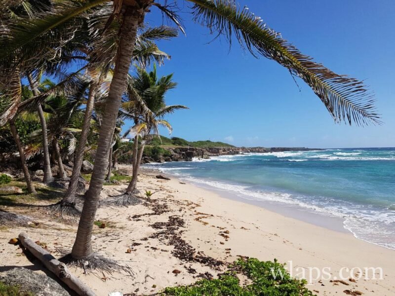 Plage de petite rivière