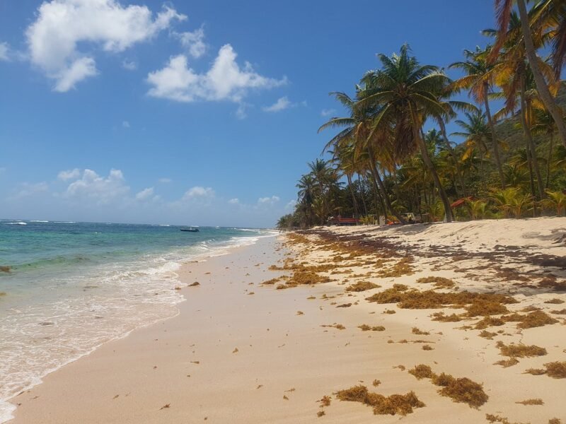 Plage du Souffleur de la Désirade